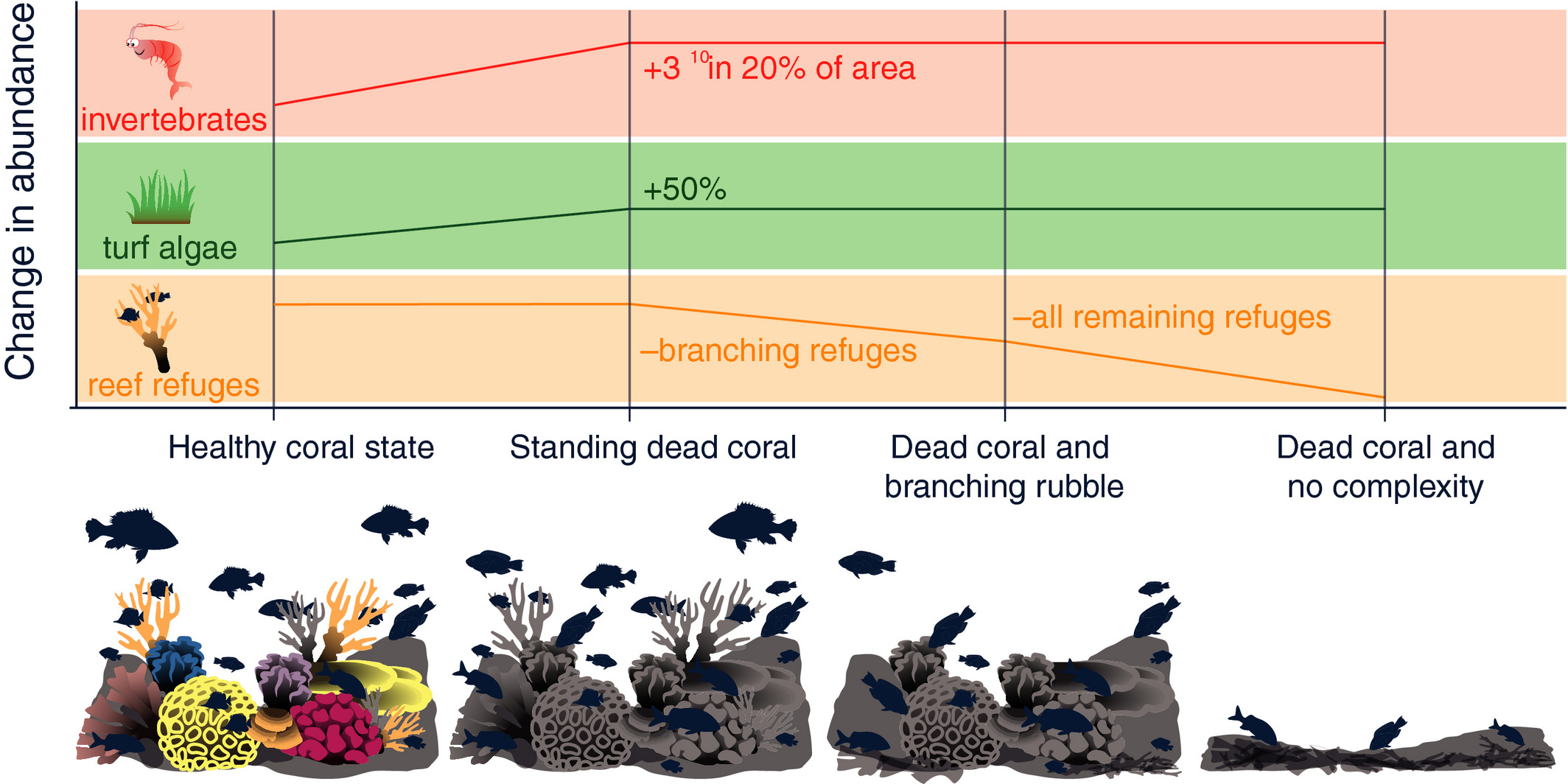 Coral Health