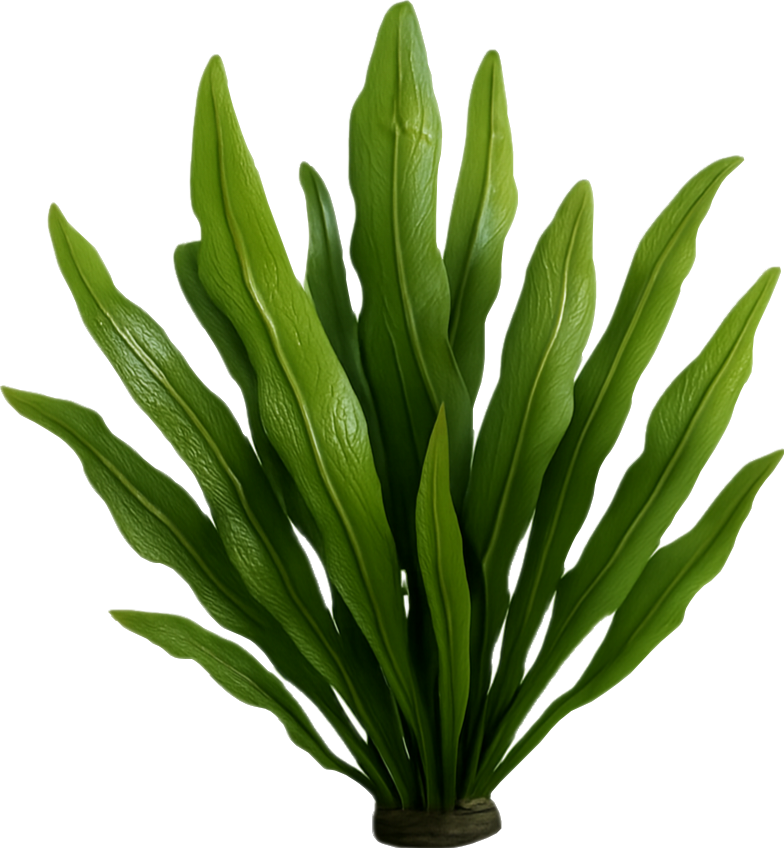 Algae Icon
