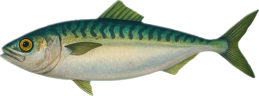 Fish Icon